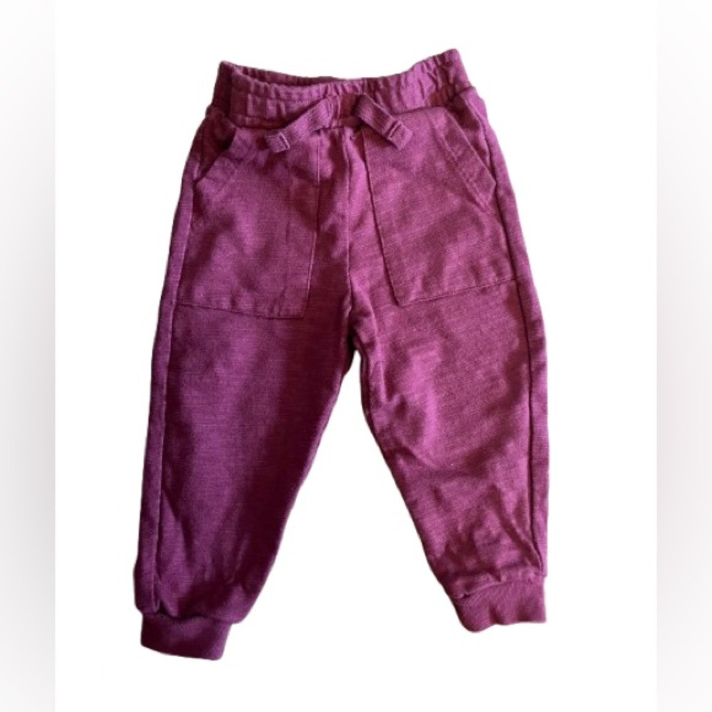 Garanimals Kids Magenta Jogger Pants